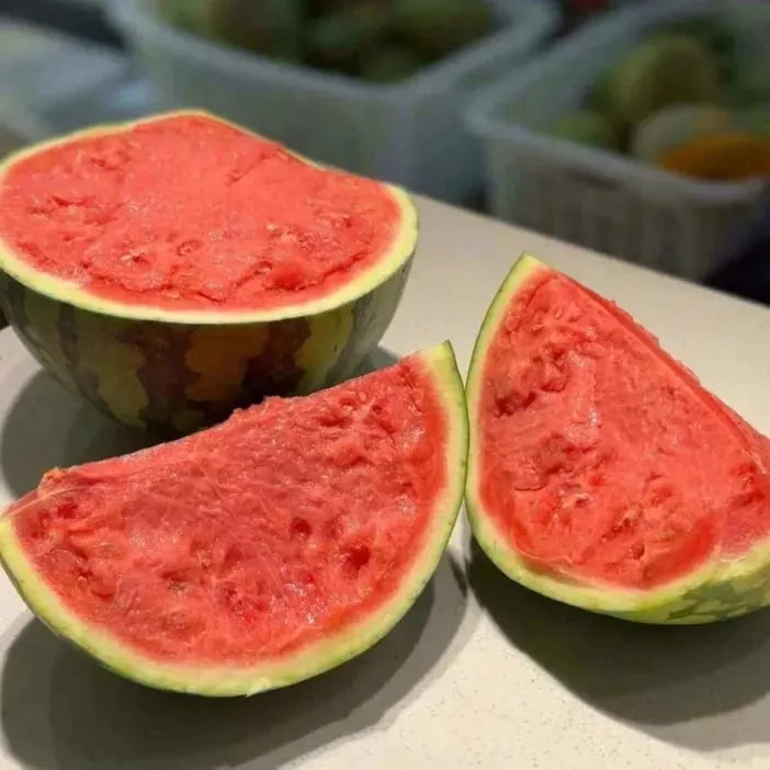 🔥⏰Last Day 70%OFF - 🍉Lazy Man's Watermelon Seeds