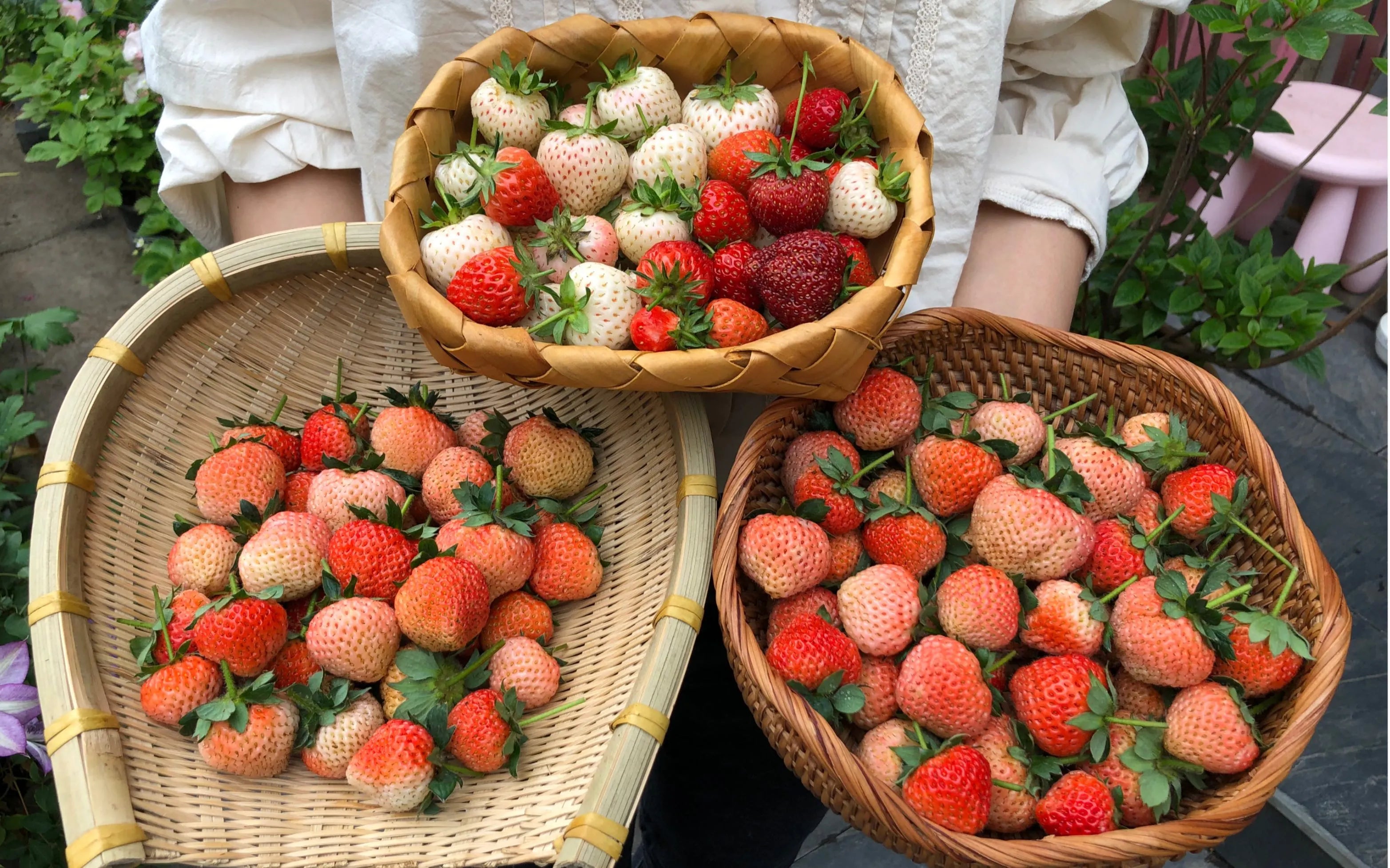 🍓 Peach-Smoked Strawberry Seeds