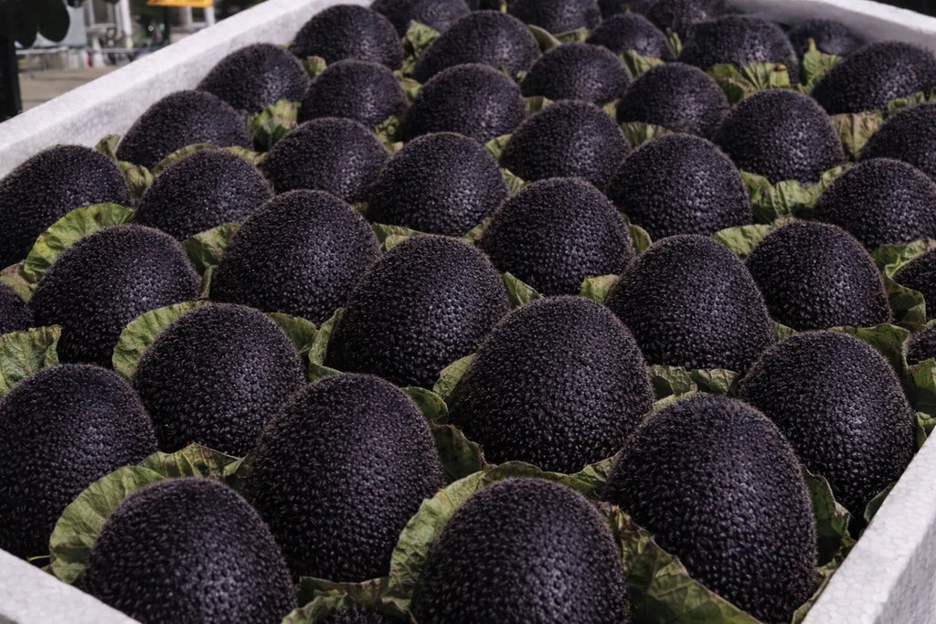 🥝Black Diamond Ruby Kiwi Seeds – Sweet. Nutrient-Rich & Easy to Grow at Home