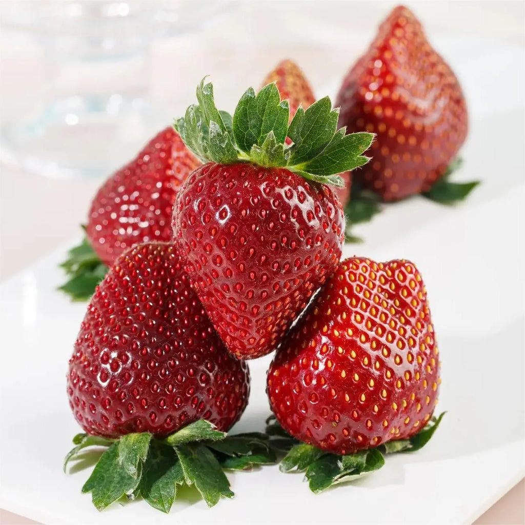 🍓Black Pearl Strawberry Seeds