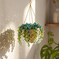 Plant Suncatcher DIY Kit