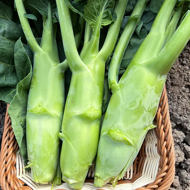 Chicken Leg Kale Seeds