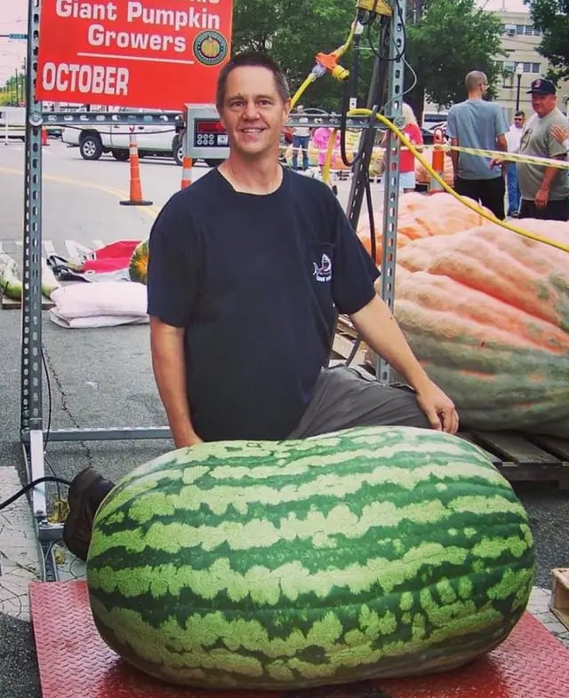 🔥⏰Last Day 70%OFF - 🍉Lazy Man's Watermelon Seeds