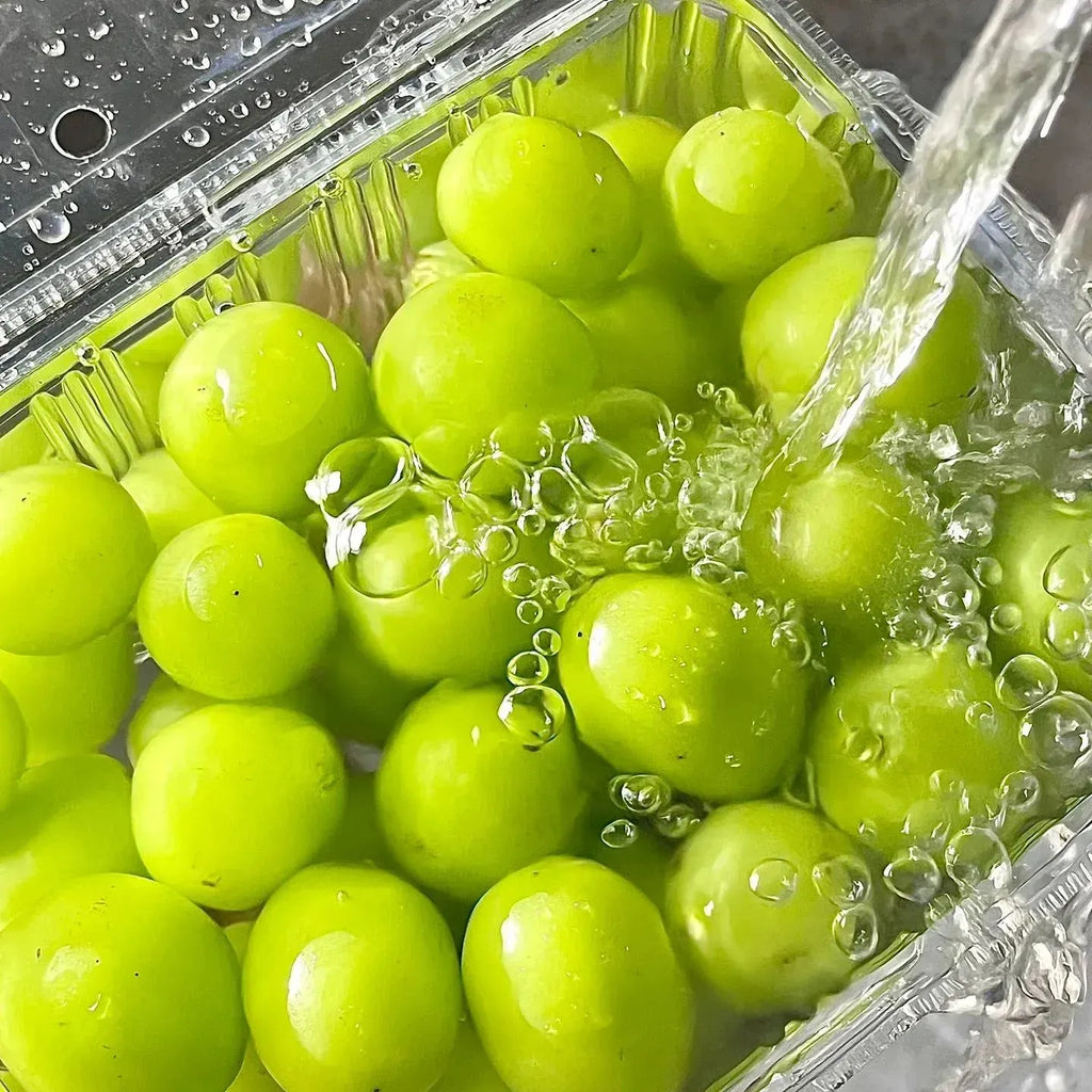 Shine Muscat Tree Seeds-Sunshine Rose Grape(🪴Can be potted)