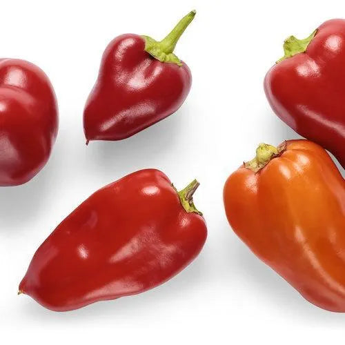 Hot Pepper