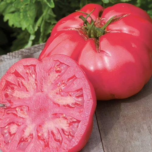 Beafsteak Tomato Seeds