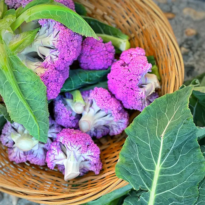 Pagoda Vegetable Seeds