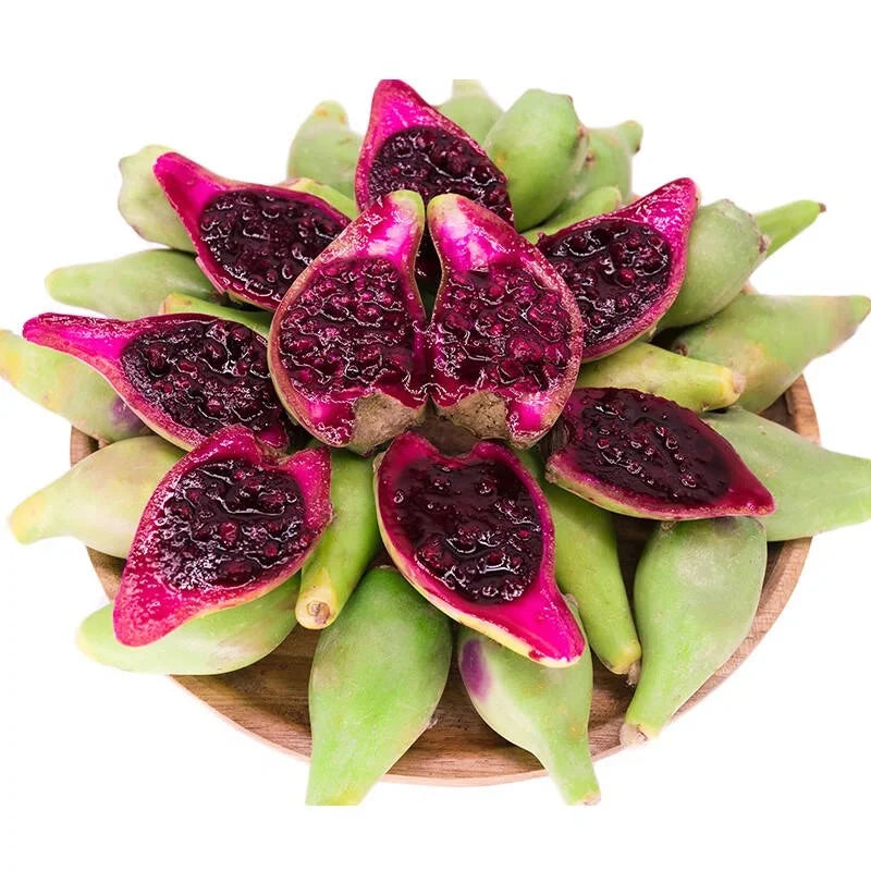 Edible Nopales Prickly Pear Cactus Seeds