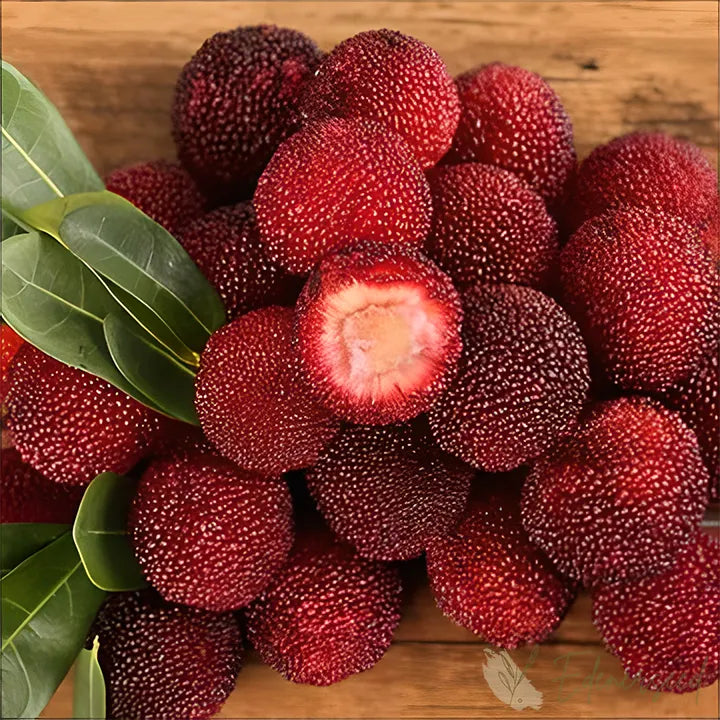 Himalayan Crystal White Bayberry Seeds