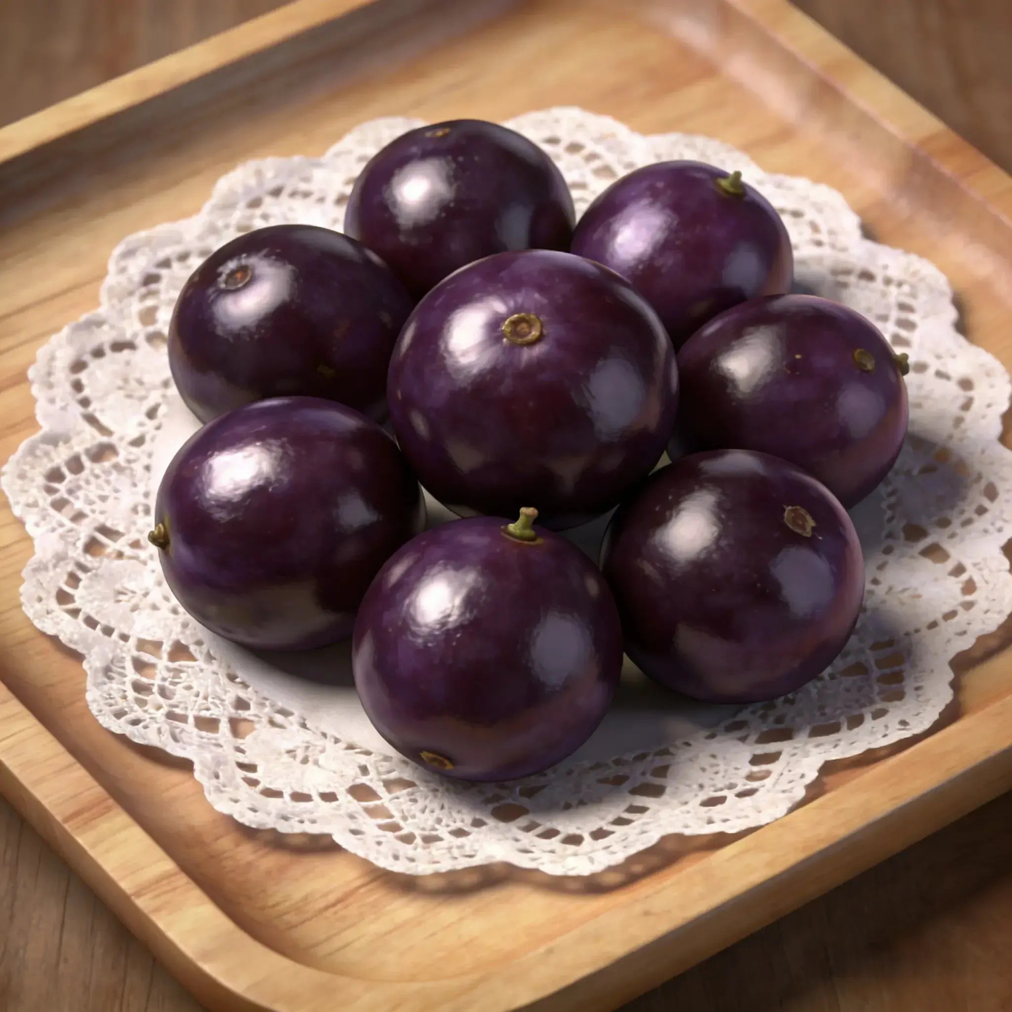 Jaboticaba Exotic Fruit Plant Starter for Home Garden
