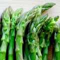 Planting Asparagus Seeds All Seasons