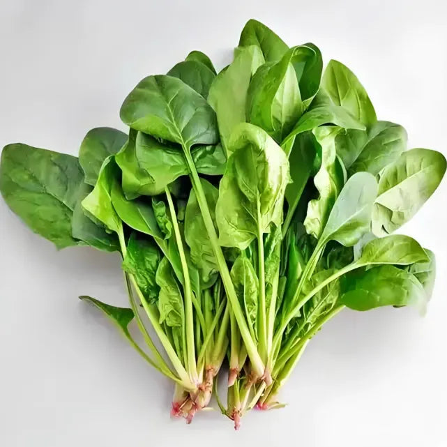 🥬Four Seasons Red Stem Spinach - The Eggs of Vegetables