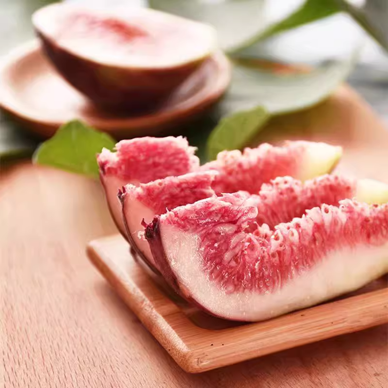 Fig Tree Seeds (Ficus carica). Sweet Fruit Shrub