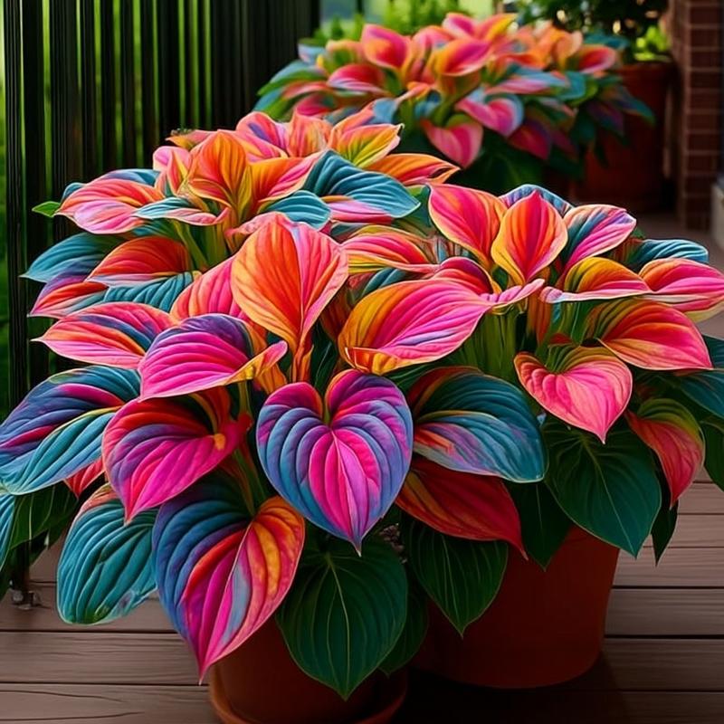 🌿 Rare Hosta Seeds — Premium. Shade-Loving Perennials with Lush Foliage🌈