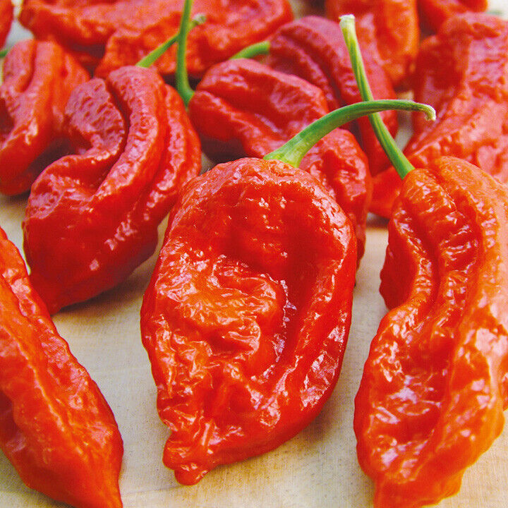 Red smoked Ghost Pepper 2.3 Grams. 8.5 Grams. 1 Kilo Bhut Jolokia HOT Chili Spice Powder