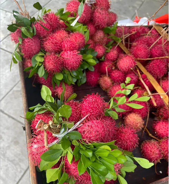 Sweet Rambutan Seeds