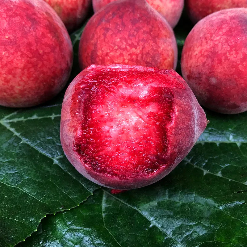 Blood Peach Seeds