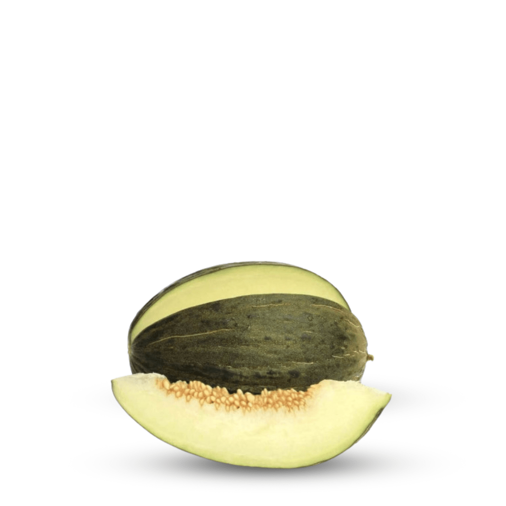 Heirloom Honeydew Melon Seeds – Sweet Summer Fruit