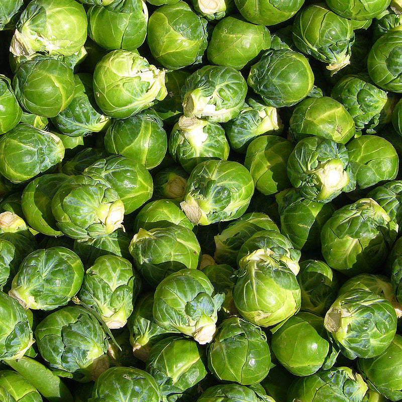 Brussels Sprouts Seeds