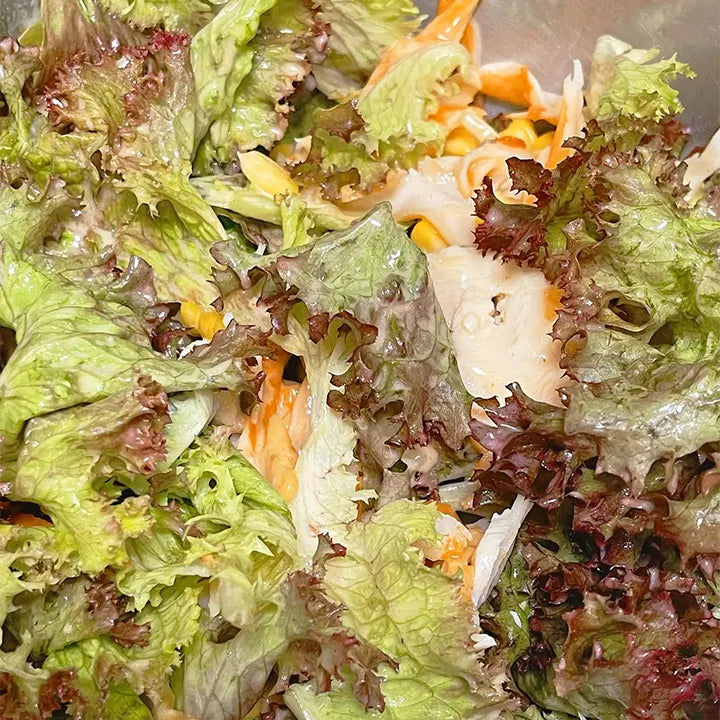 Organic Lettuce Seeds 'Purple'