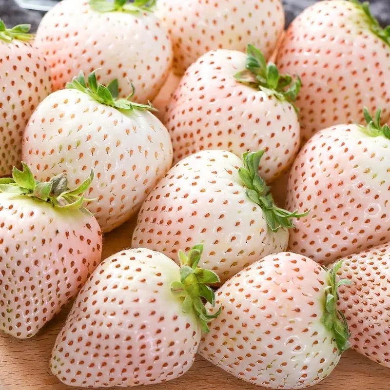 🍓White Milk Strawberry Seeds(🪴Buy 3 Get 1 Free)