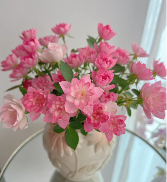🌸Lotus Star Rose Seeds: Blooming All Year. Bringing Continuous Good Fortune🌸