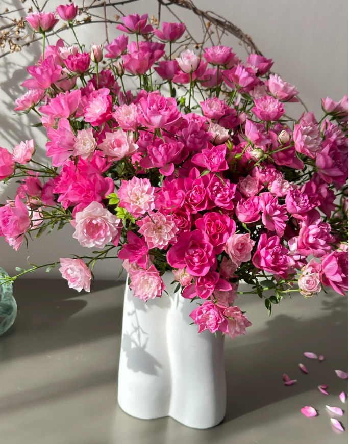 🌸Lotus Star Rose Seeds: Blooming All Year. Bringing Continuous Good Fortune🌸