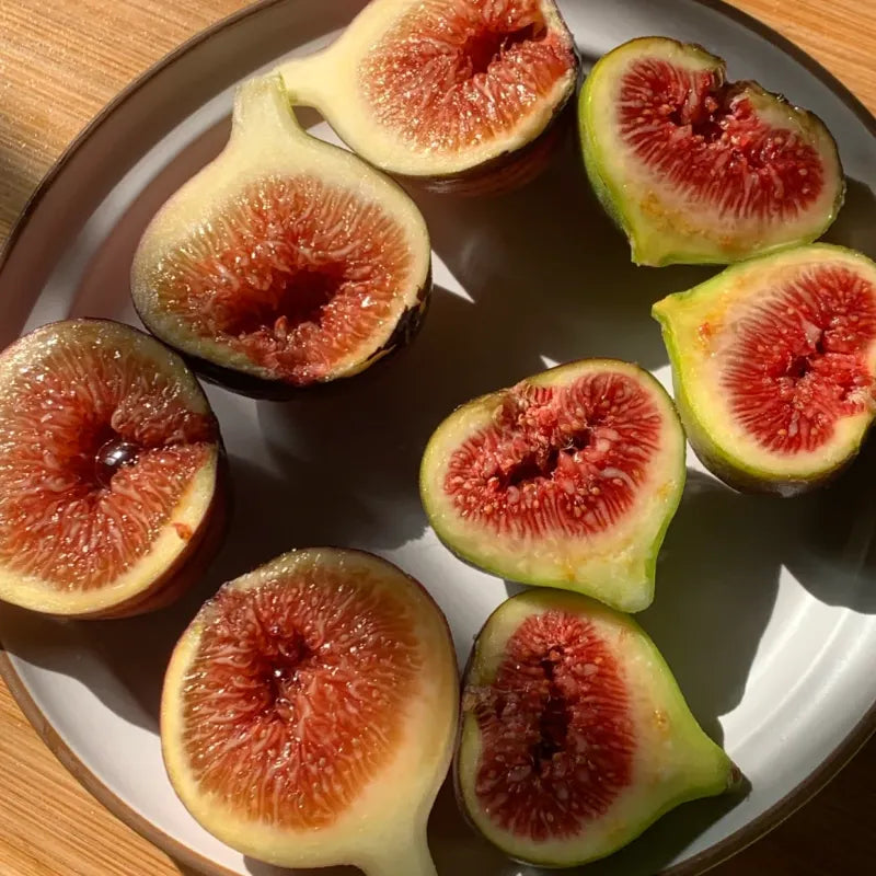 🌈Rainbow Figs (BNR Figs) – Pretty And Delicious