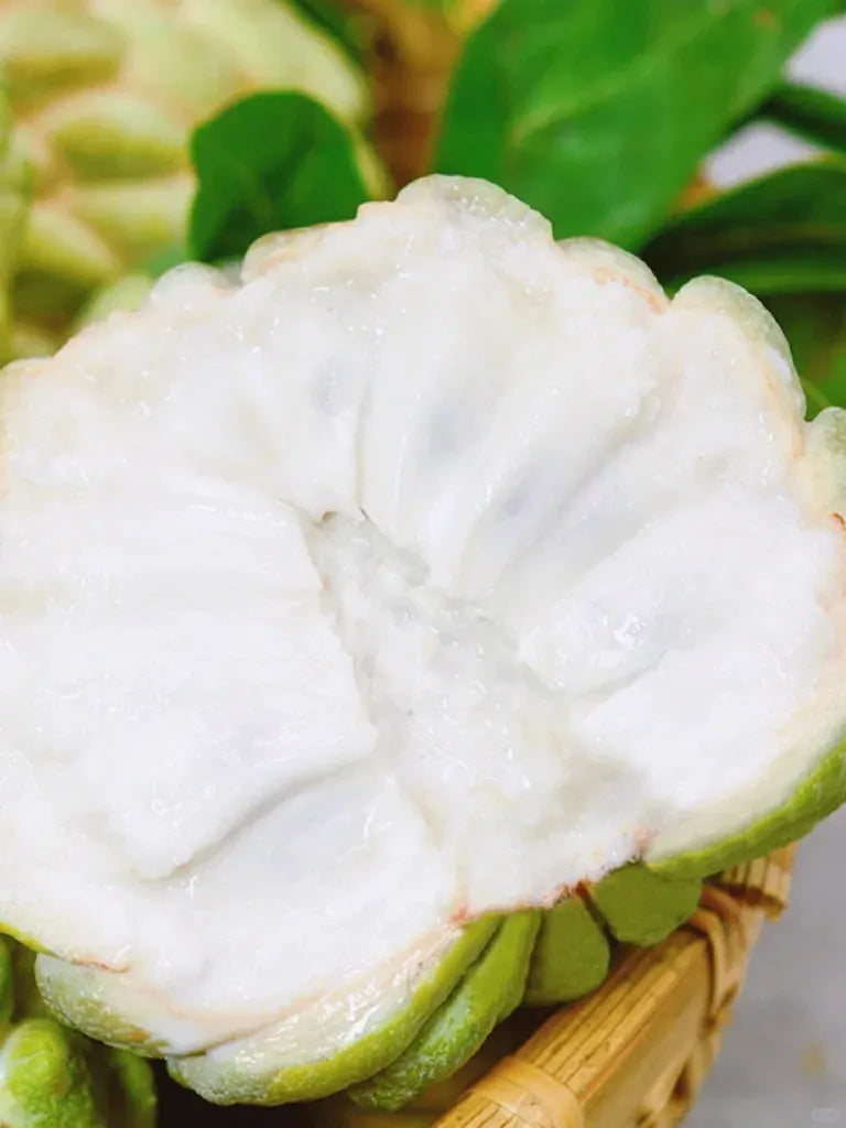 Sugar Apple Seeds