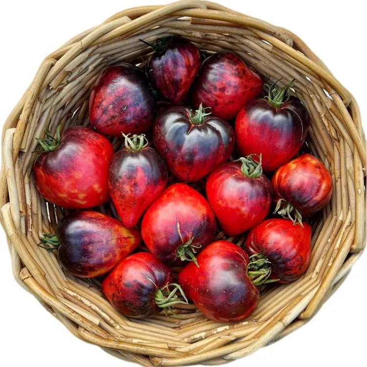 Sgt. Pepper's Tomatoes Seeds - Heirloom