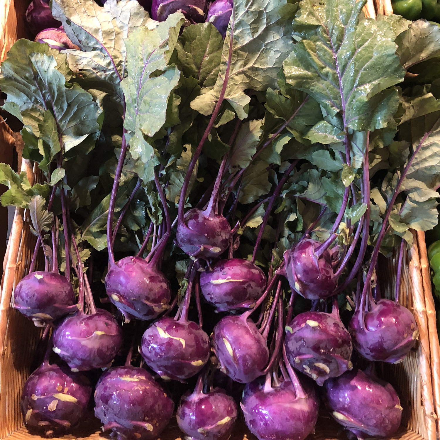 Purple Kohlrabi Seeds (Organic)