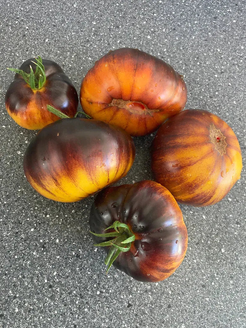 Lucid Gem Tomato Seeds Organic. Heirloom Tomatoes