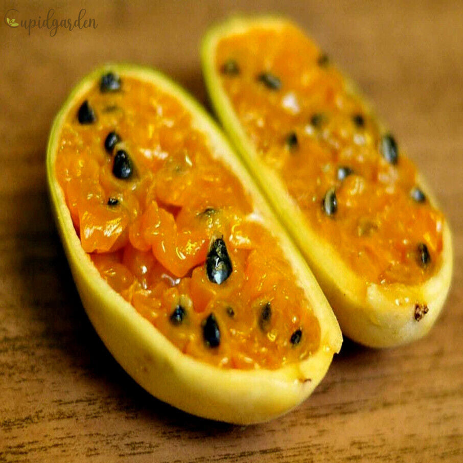 🍌Rare Banana Passion Fruit Seeds