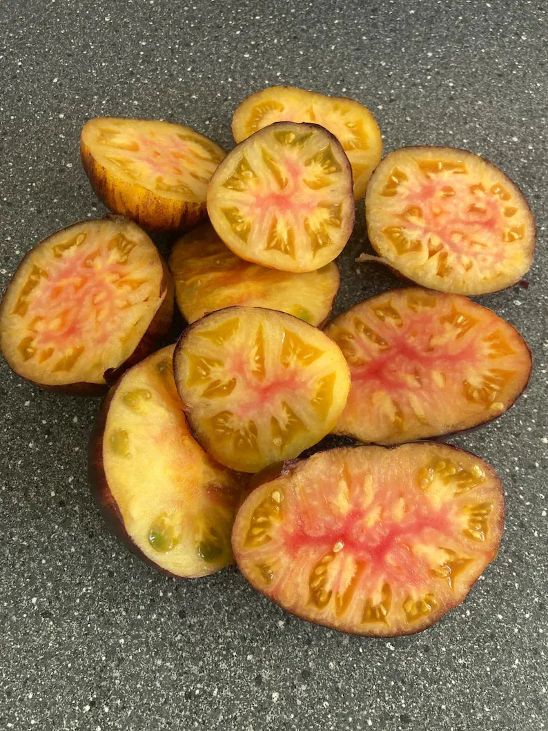 Lucid Gem Tomato Seeds Organic. Heirloom Tomatoes