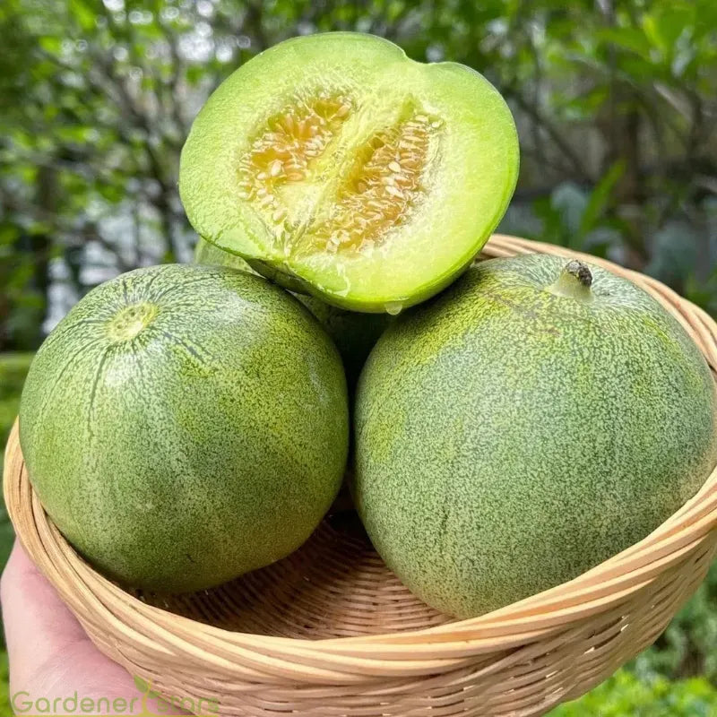 Emerald Melon Seeds