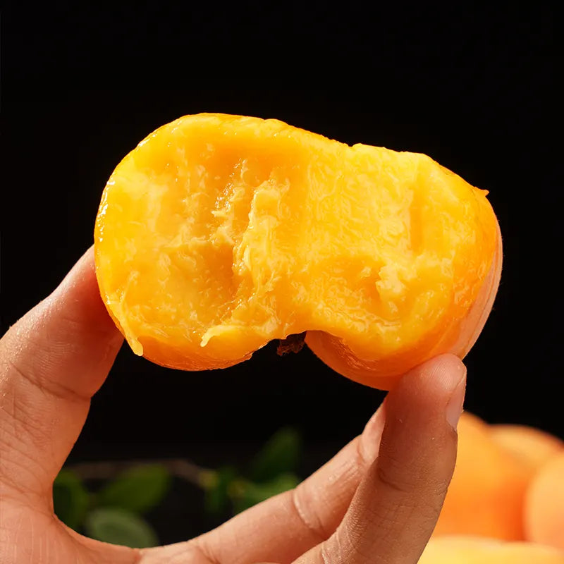 🌟Golden Legend - Golden Peach Seeds