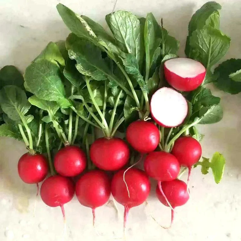 🍒🥕Radish Cherry Belle