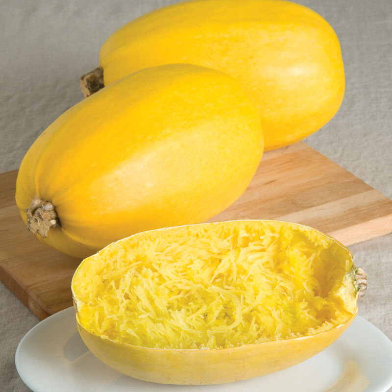 Vegetable Spaghetti. Squash Seeds