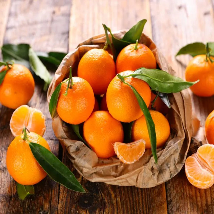 🍊Red Tangerine Seeds-Sweet. Juicy. Abundant Harvests