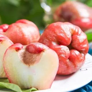 Wax-apple Fruit Seeds🍹