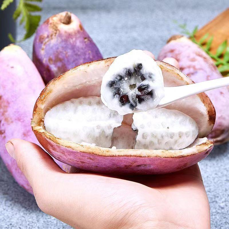 August Melon Fruit Seeds