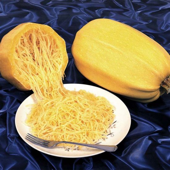 Vegetable Spaghetti. Squash Seeds