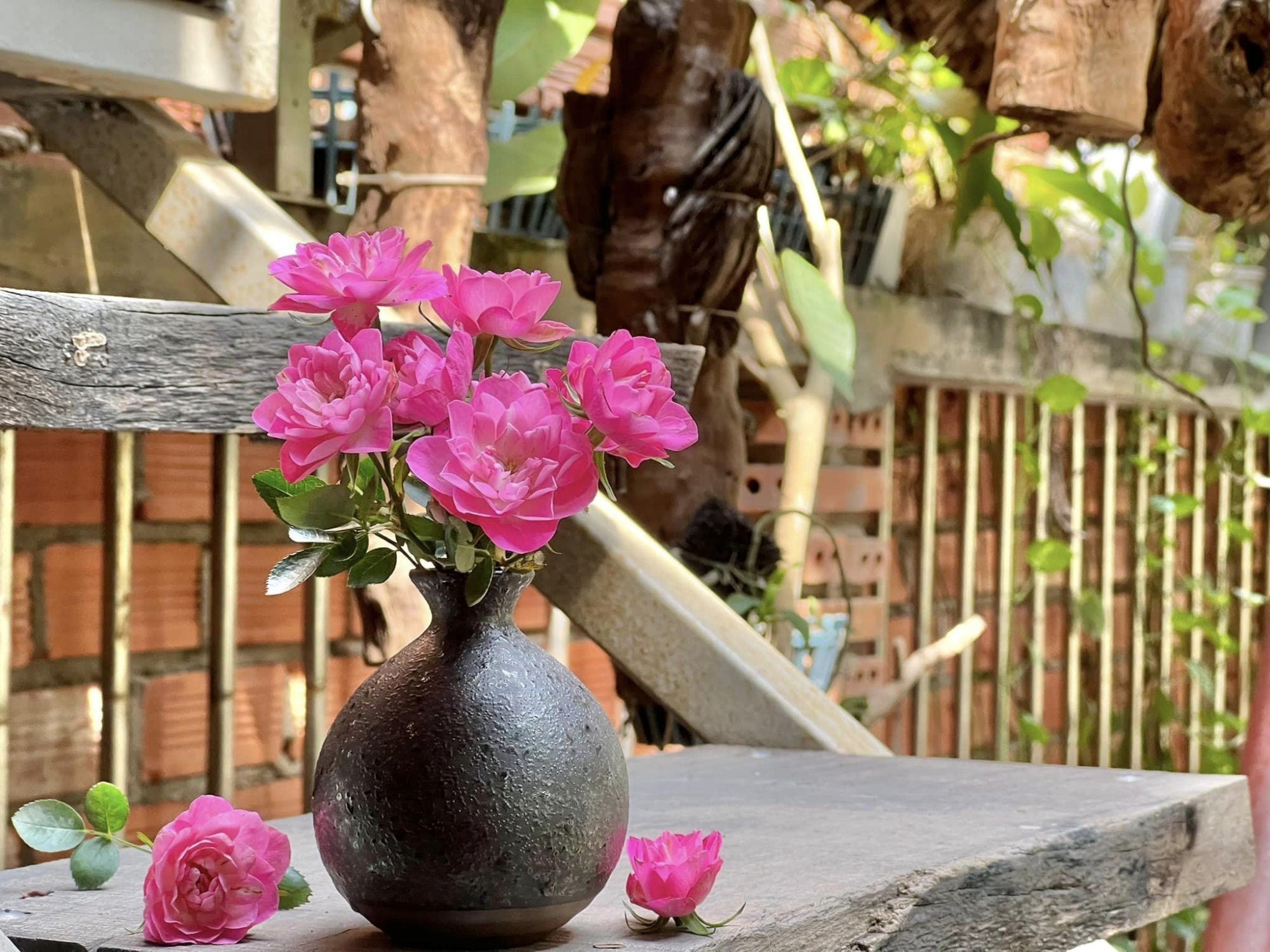 🌸Lotus Star Rose Seeds: Blooming All Year. Bringing Continuous Good Fortune🌸