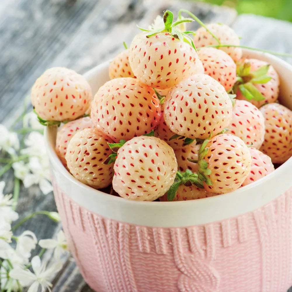 🍓White Milk Strawberry Seeds(🪴Buy 3 Get 1 Free)