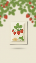 Strawberry seed packet with plant sprig