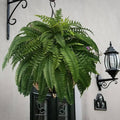 🌱 UV Resistant Ferns Artificial Plants Large for Planters. Office & Home Decor. Outdoor & Indoor