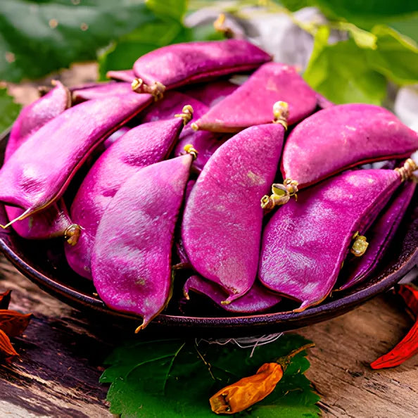 🫘Purple Gem Lentil