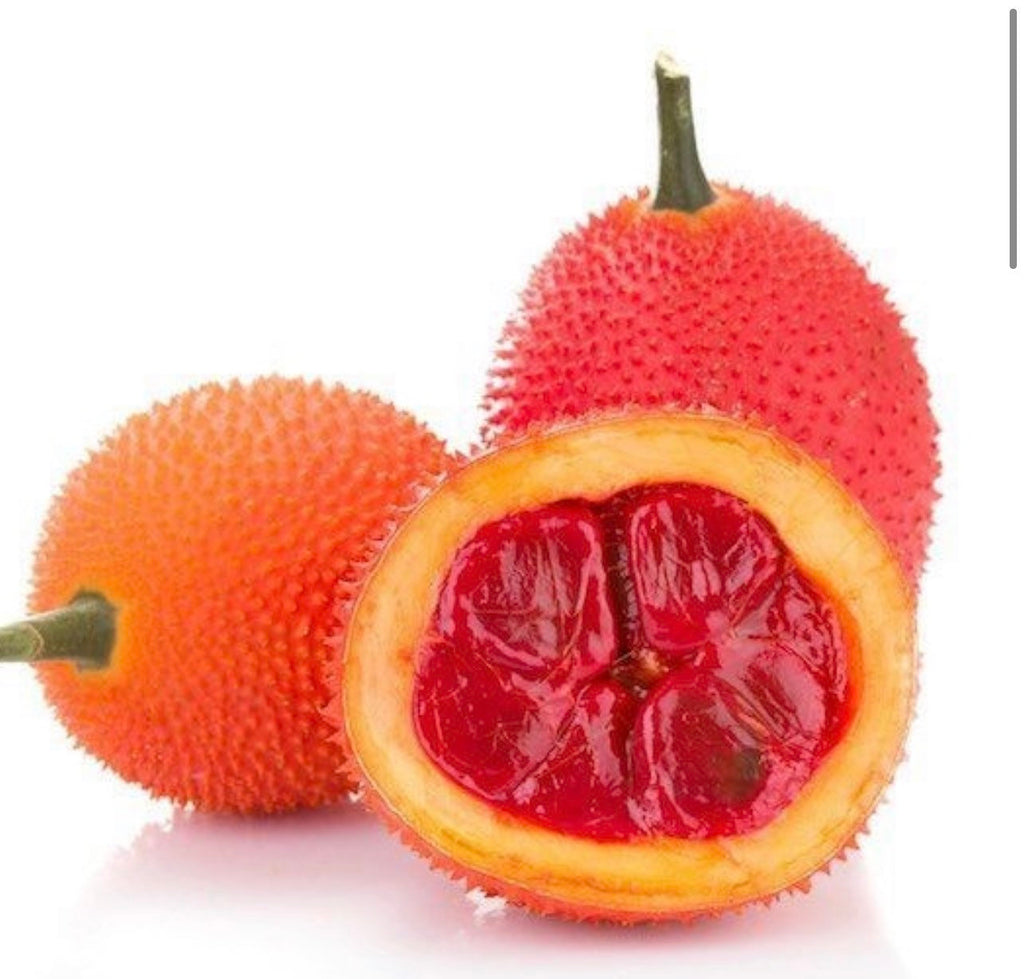 Gac fruit seeds. Gac Melon Vine Momordica Cochinchinensis seeds