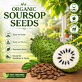 💥🌸 Organic Soursop (Graviola) Seeds – Non-GMO Heirloom Tropical Fruit seeds