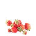 Wild Strawberry Plant Seeds – Sweet Alpine Variety